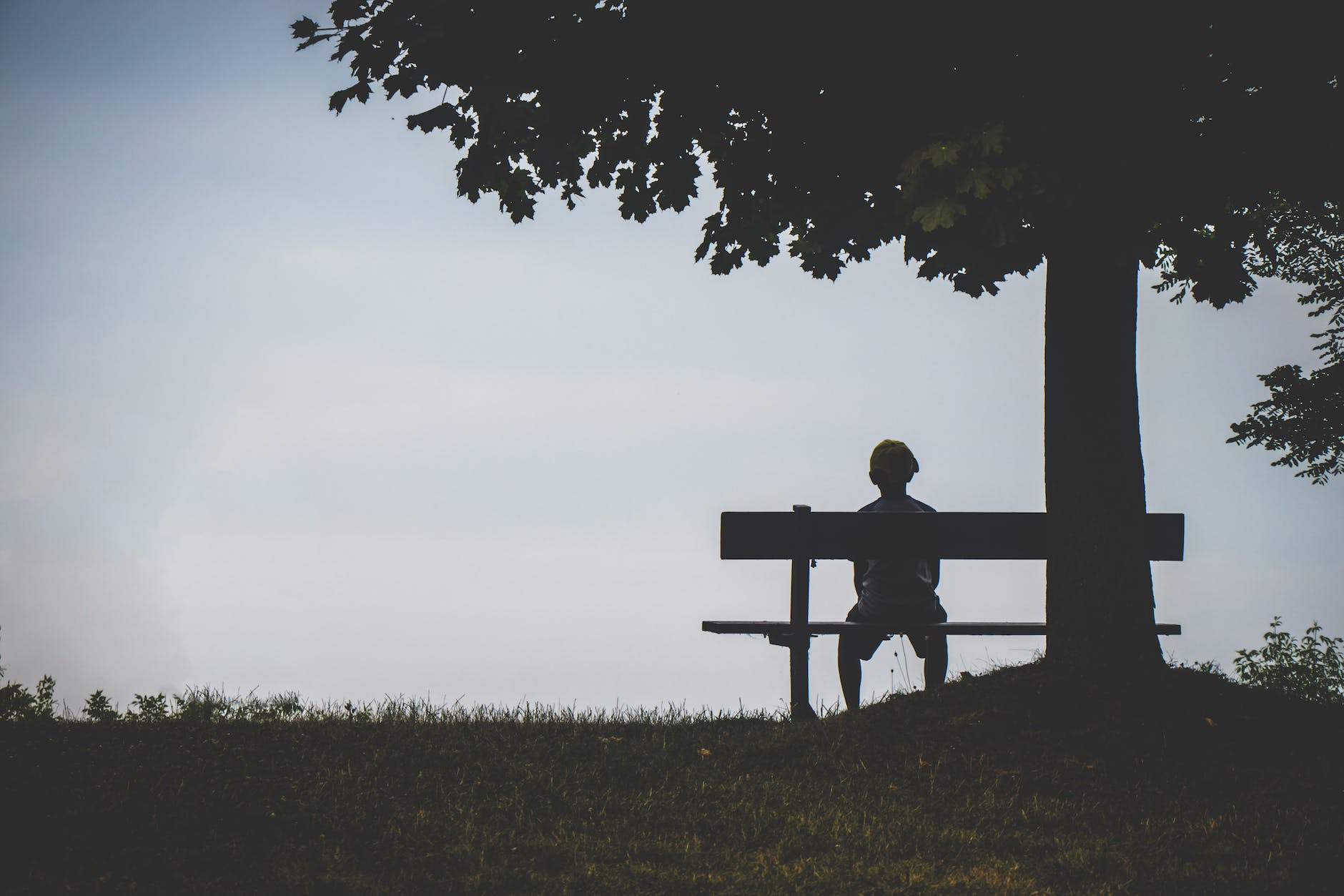 person sitting on bench under tree