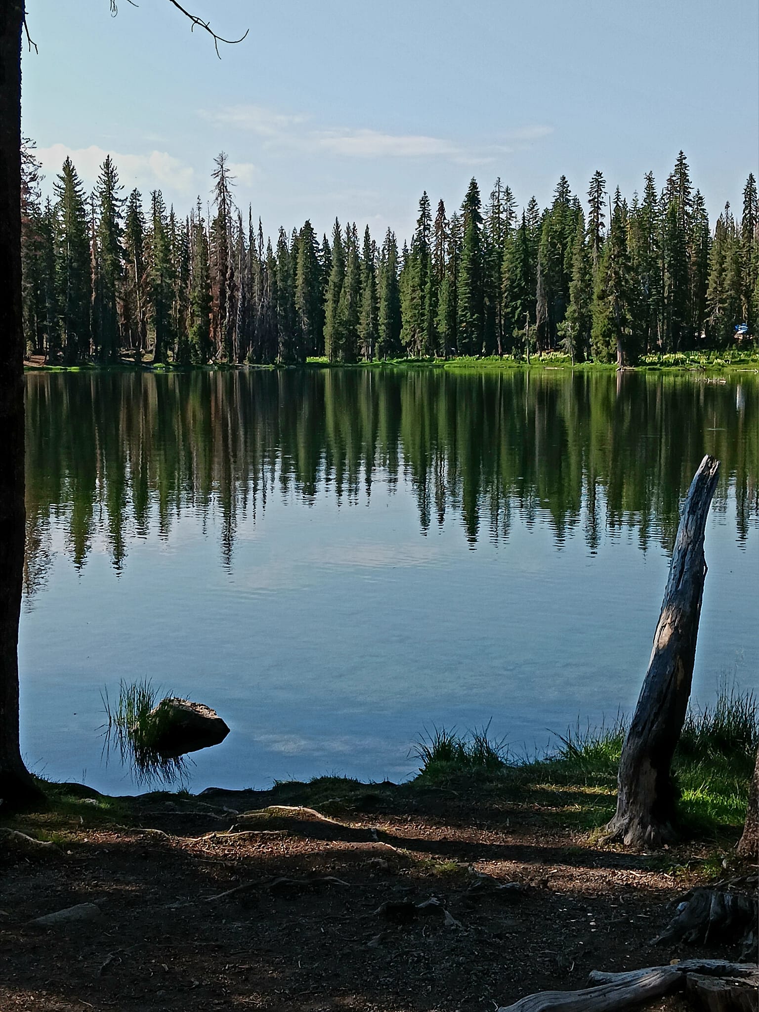 Fresh Look at Trip Report Echo Lake Hike August 2024 Ecoshasta